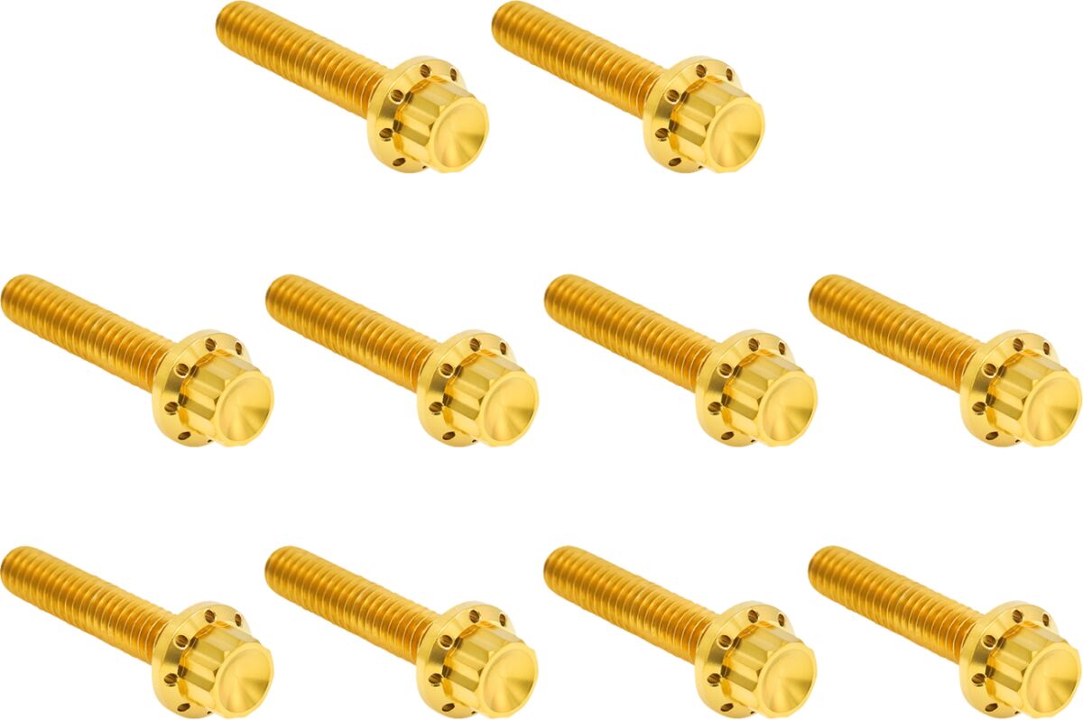 ARLEN NESS HARDWARE KIT TITANUIM 12PT CAM & POINT CVR GOLD 300-988