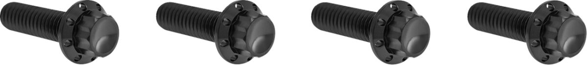 ARLEN NESS HARDWARE KIT TITANUIM 12PT TRANS TOP CVR BLACK 300-978