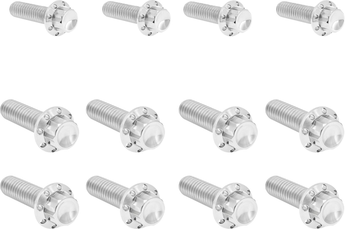 ARLEN NESS Bolt Kit - Transmission Side Cover/Trap Door - 12-Point - Polished 300-953