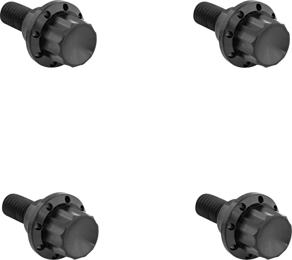 ARLEN NESS BOLT KIT TITANIUM 12PT WINDSHIELD BLACK 300-810
