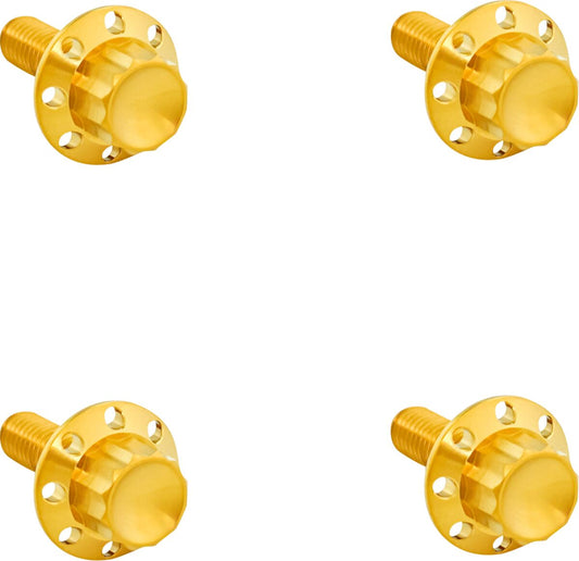 Arlen NESS Bolts Kit Titanium 12PT Front Fender Gold 300-817