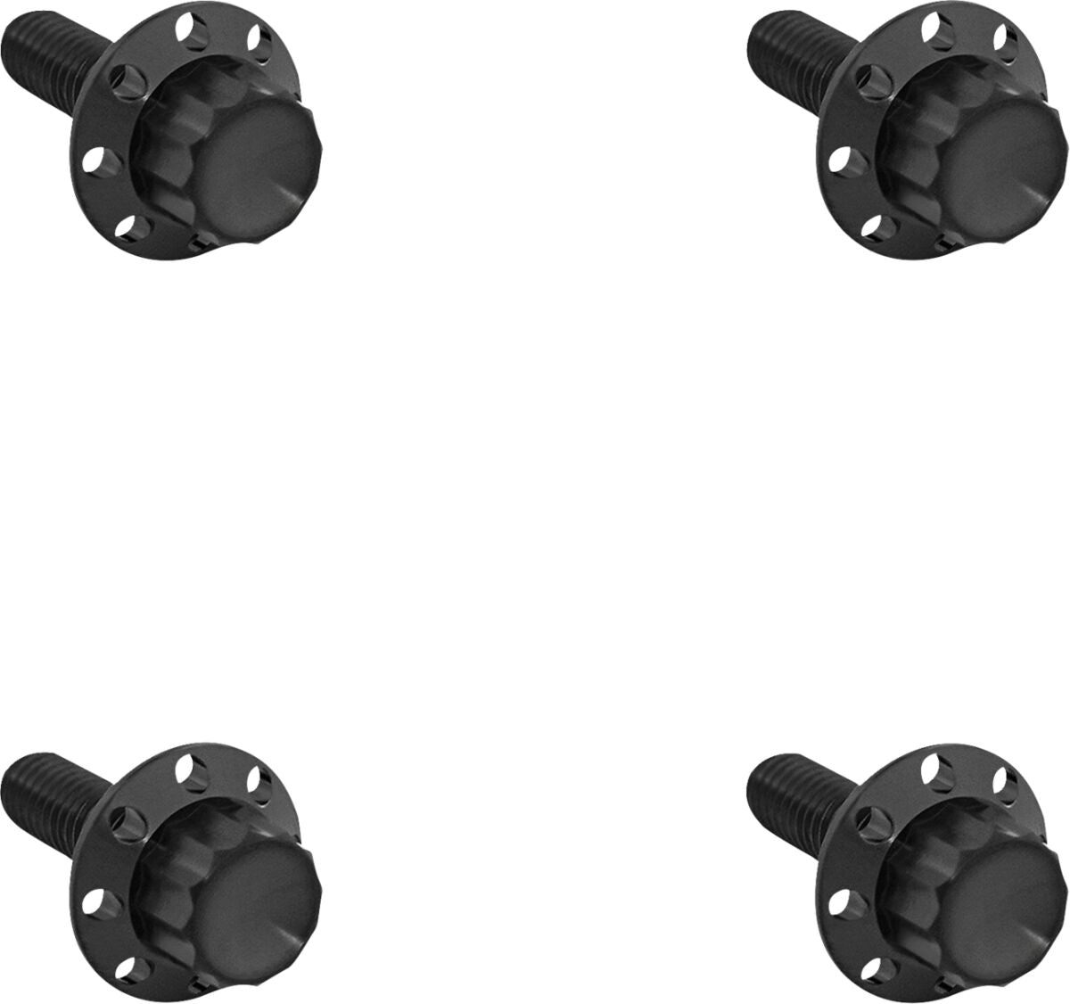 ARLEN NESS BOLT KIT TITANIUM 12PT WINDSHIELD BLACK 300-840