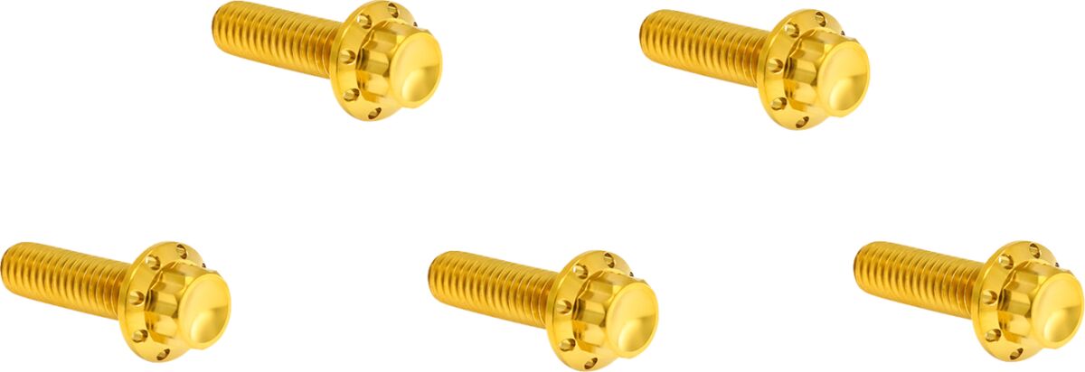 ARLEN NESS BOLT KIT TITANIUM 12PT DERBY COVER GOLD 300-925