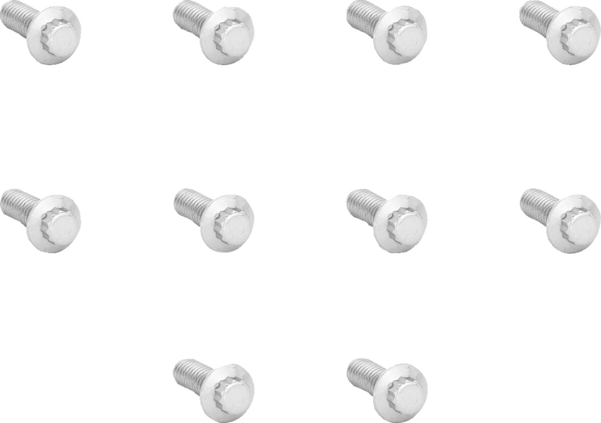 ARLEN NESS BOLTS ROTOR POLISHED STAINLESS 12-POINT 01-485