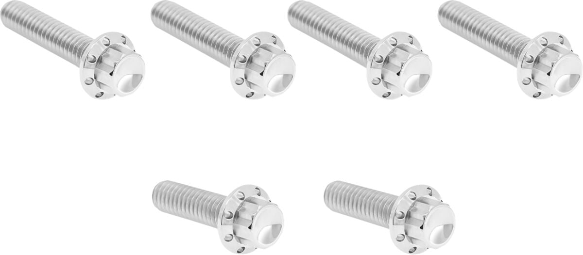 ARLEN NESS HARDWARE KIT TITANIUM 12-PNT M8/TC CBL CLUTCH PLSH 300-703