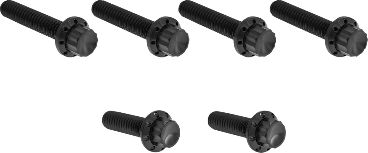 ARLEN NESS HARDWARE KIT TITANIUM 12-PNT M8/TC CBL CLUTCH BLACK 300-704