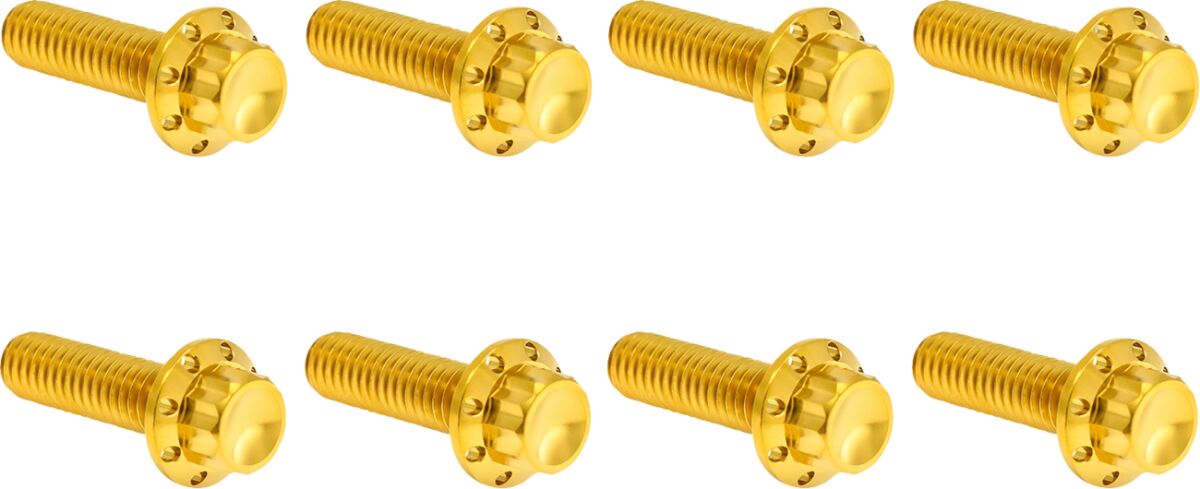 ARLEN NESS HARDWARE KIT TITANIUM 12-PNT M8/TC TRAP DOOR GOLD 300-711