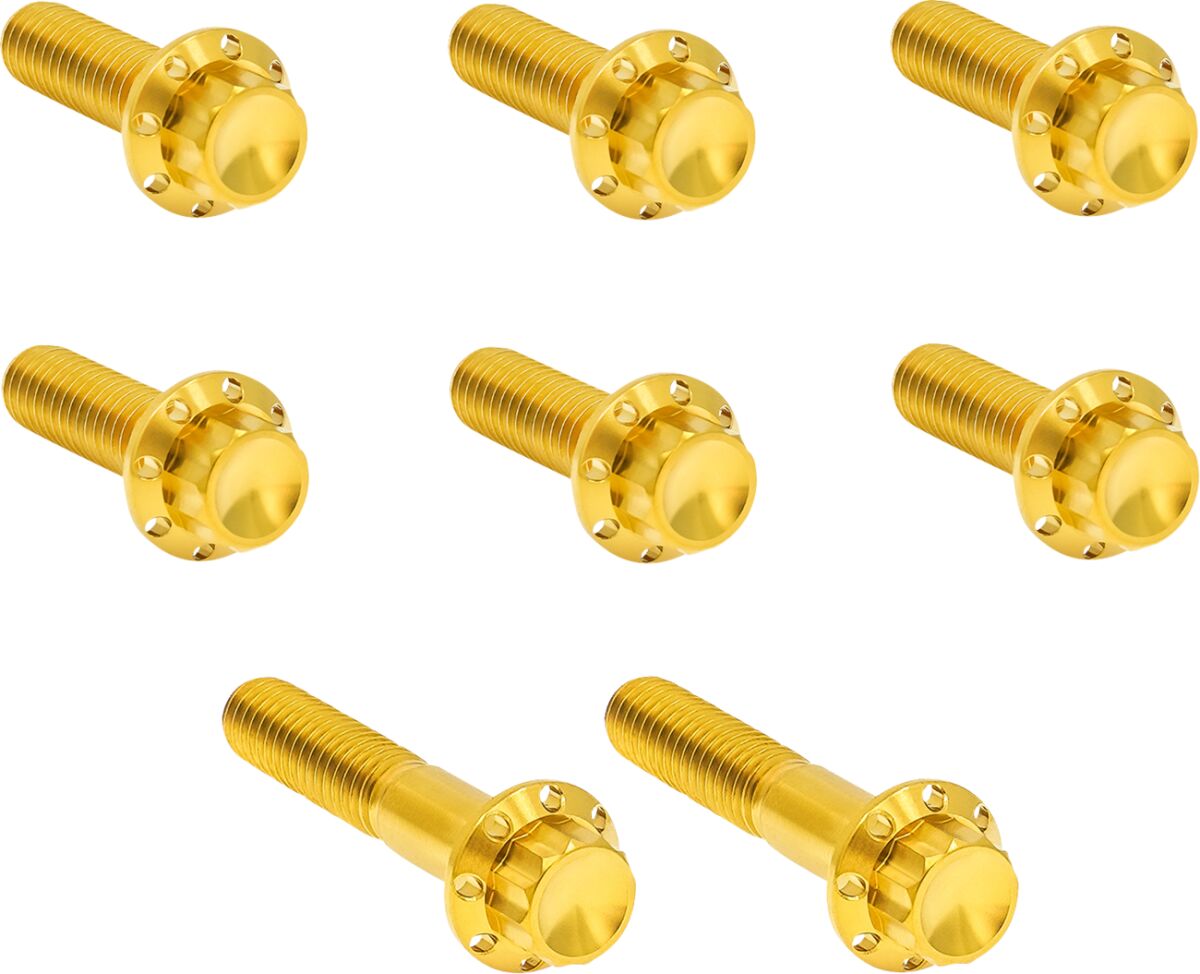 ARLEN NESS HARDWARE KIT TITANIUM 12-PNT TC 6-SPD TRAP DOOR GOLD 300-714