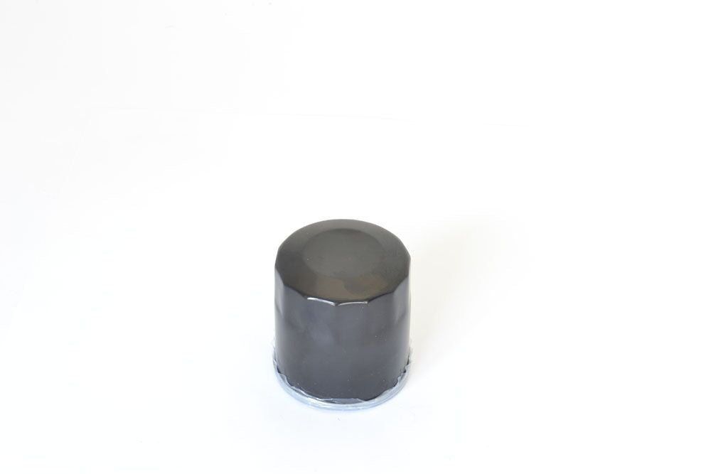 ATHENA OIL FILTER POLARIS FFP026