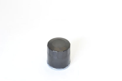 ATHENA OIL FILTER POLARIS FFP026