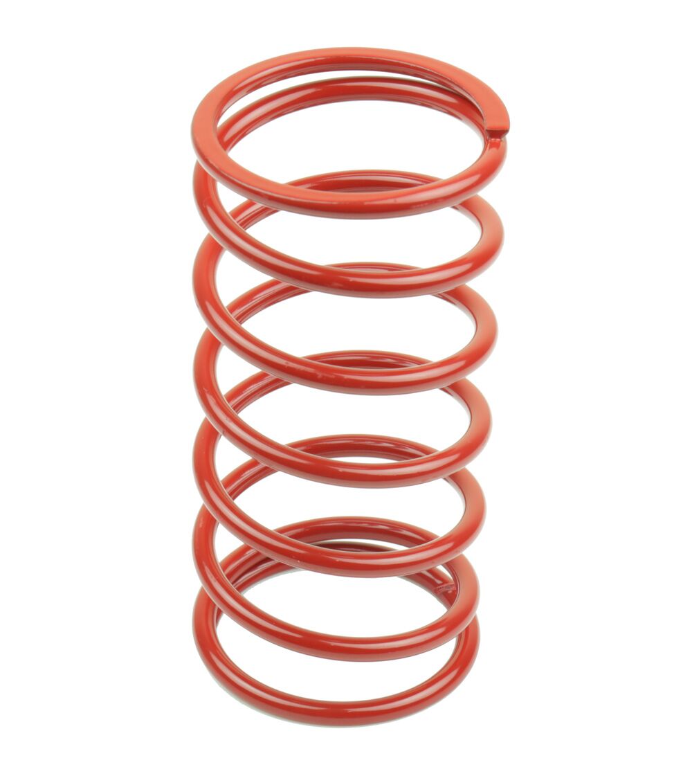 ATHENA VARIATOR SPRINGS 32kg �~ 46mm 080096