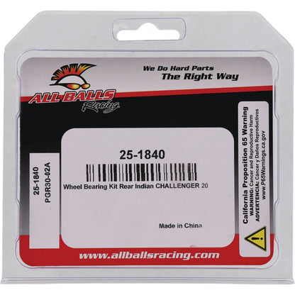 ALL BALLS BEARING KIT WHEEL INDIAN 25-1840