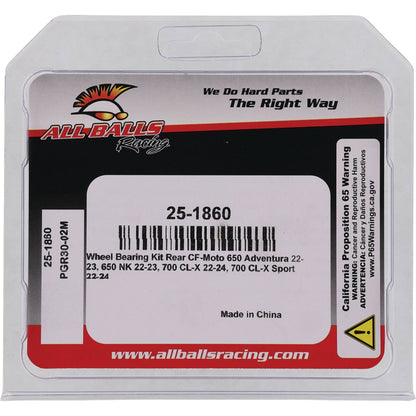 ALL BALLS BEARING KIT WHEEL CF MOTO 25-1860