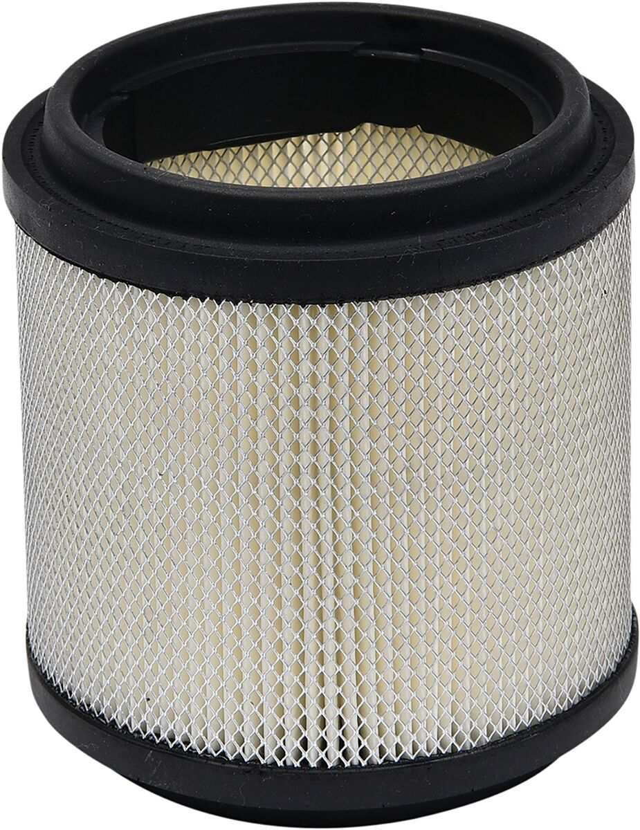 ALL BALLS AIR FILTER POLARIS 48-1022