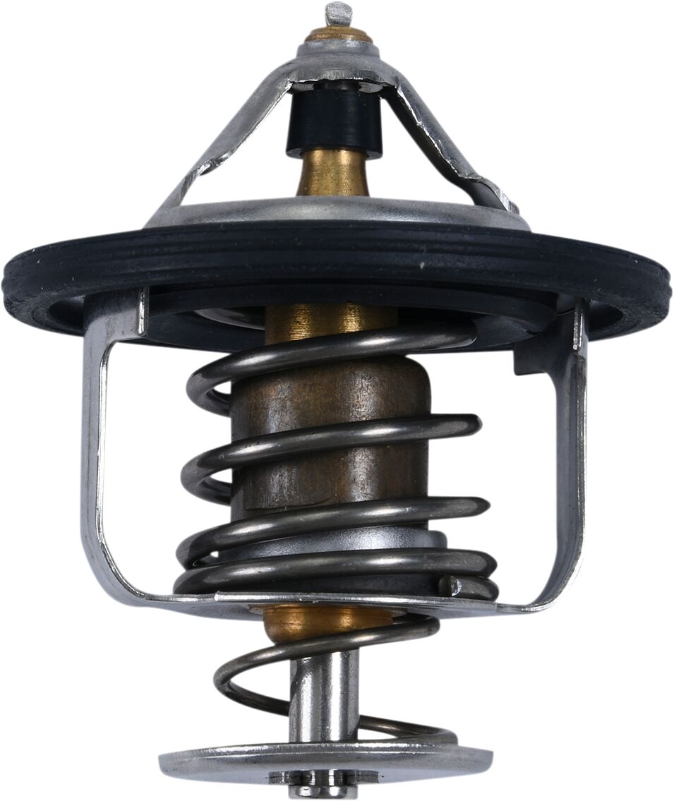 ALL BALLS THERMOSTAT POLARIS 16-3004