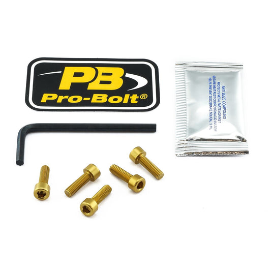 PRO BOLT BOLT KIT FUEL CAP GOLD TKA100G