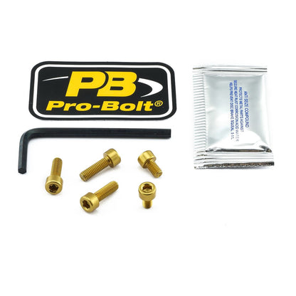 PRO BOLT BOLT KIT FUEL CAP GOLD TKA243G
