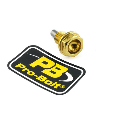 PRO BOLT BOLT DRAIN 12X1.5X15 GOLD ALSUMP1215MAGG