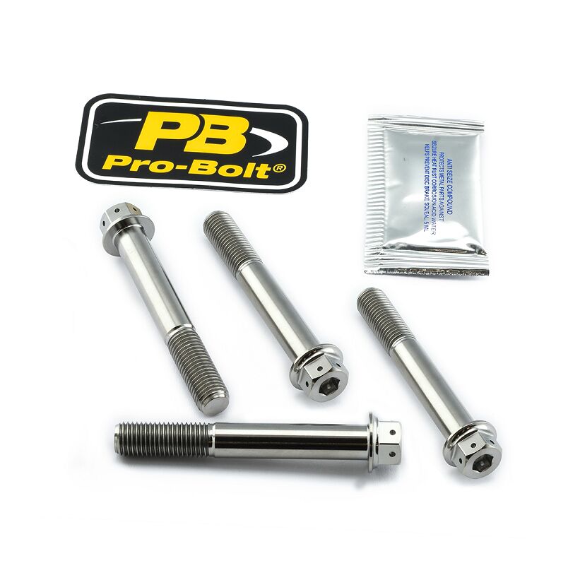 PRO BOLT BRAKE CALIPER MOUNTING BOLT KIT TIT DD TIFBMON190DD