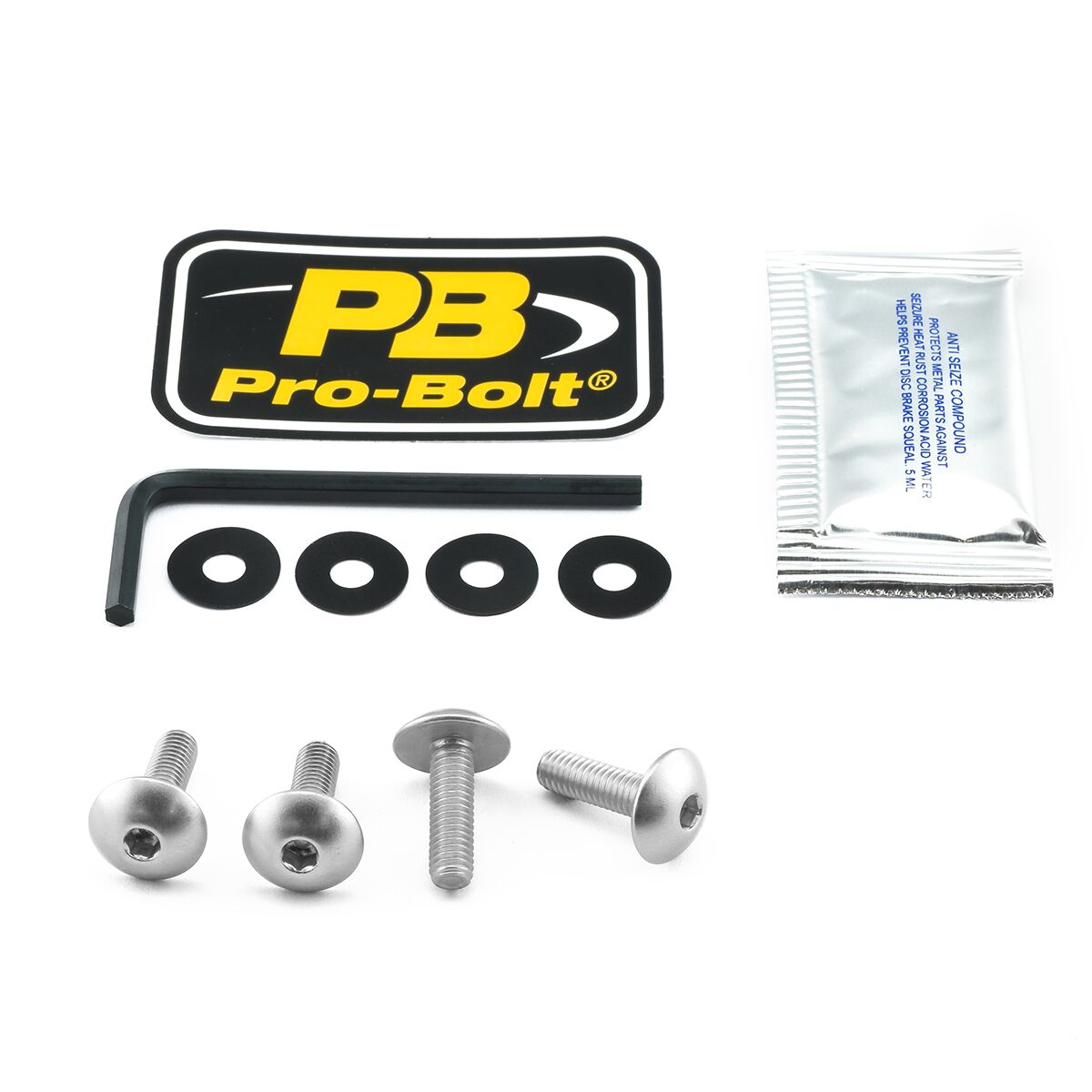 PRO BOLT BOLT KIT SCREEN SILVER SK110S