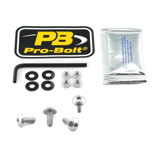 PRO BOLT BOLT KIT SCREEN SILVER SK410S
