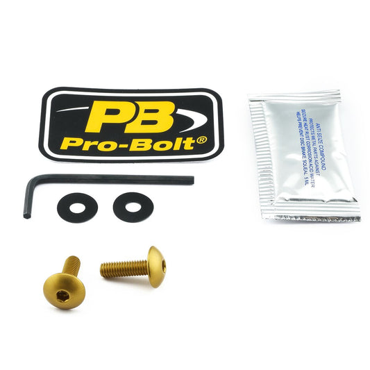PRO BOLT BOLT KIT SCREEN GOLD SK670G