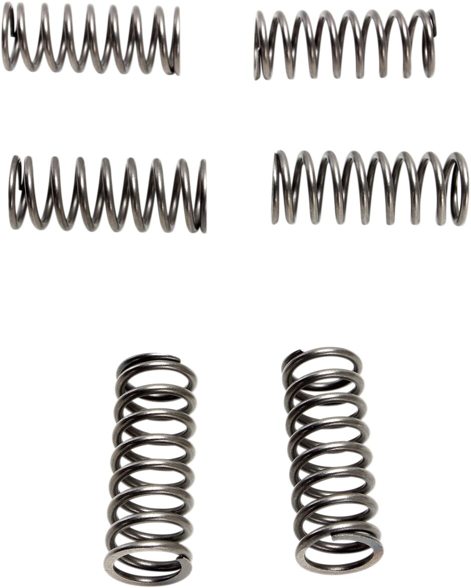 EBC CLUTCH SPRING KIT COIL SPRING CSK SERIES STEEL CSK198