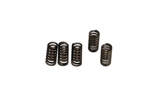 EBC Clutch Spring Set (6 Pcs) CSK245