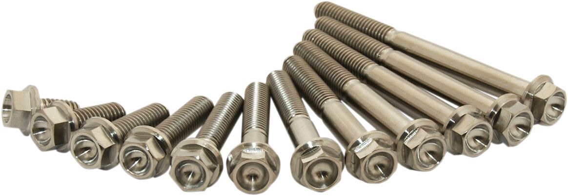 Scar Racing TITANIUM BOLT M6X30 PACK OF 2 STIM6X3002