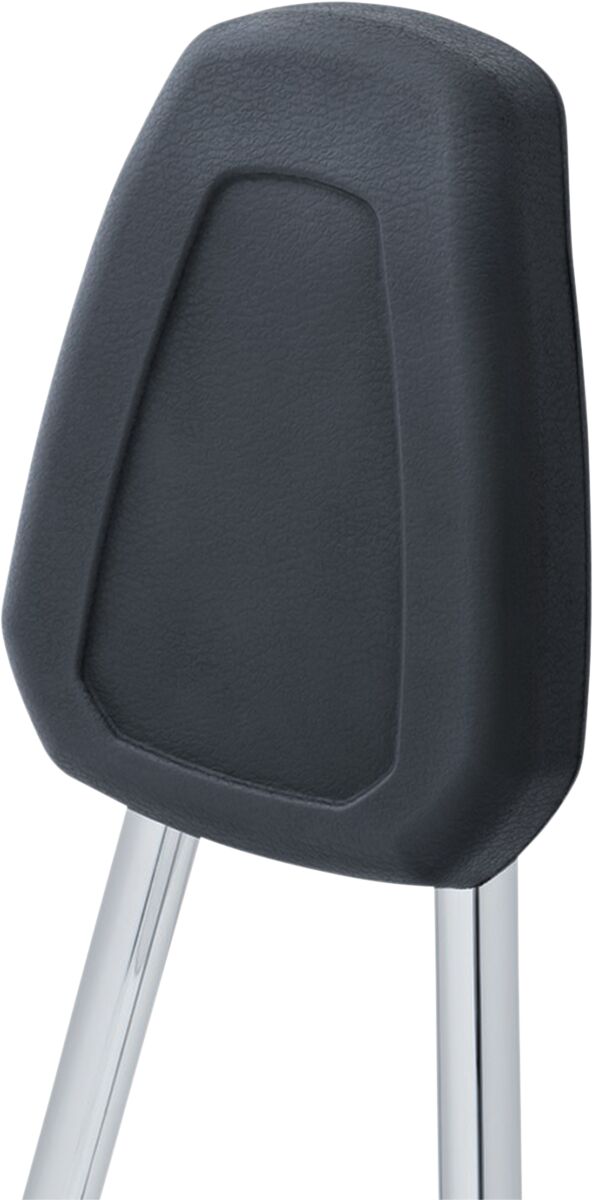 KURYAKYN SISSYBAR W/MOUNTS IND 14+ KUR6586