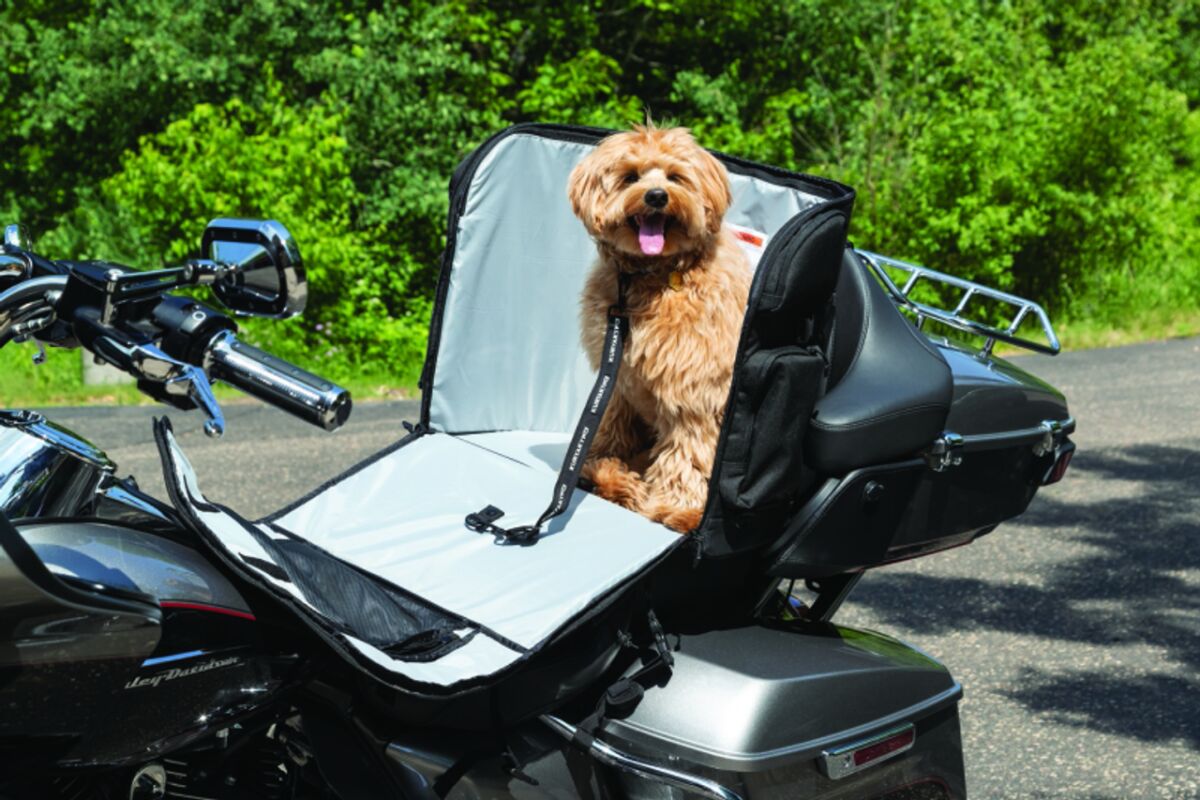 KURYAKYN BAG PET PALACE TITAN - BLACK - KUR5723