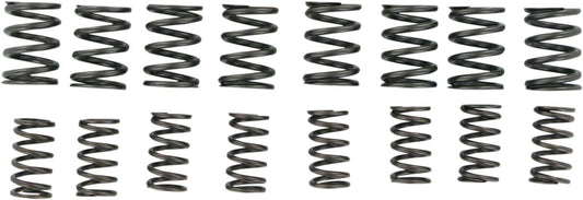 KIBBLEWHITE Spring Only High Performance Kit 40-0449