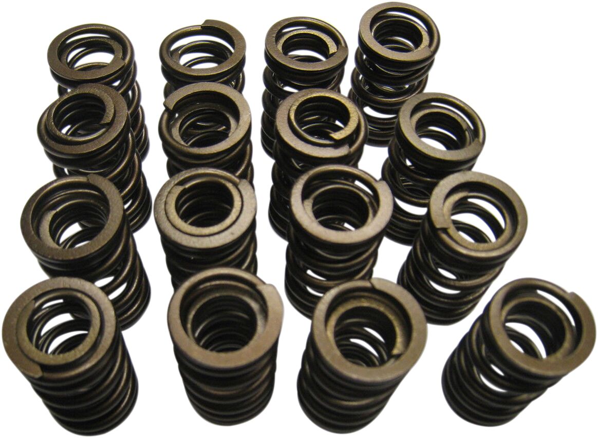 KIBBLEWHITE SPRING ONLY HIGH PERFORMANCE KIT 60-60560