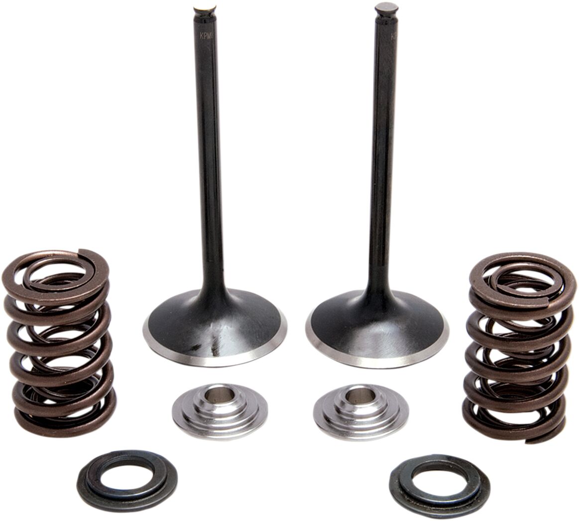 KIBBLEWHITE SPRING KT INT TRX450R 04- 30-33200