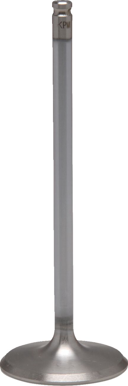 KIBBLEWHITE VALVE IN STD HON1000 16+ 30-33812H