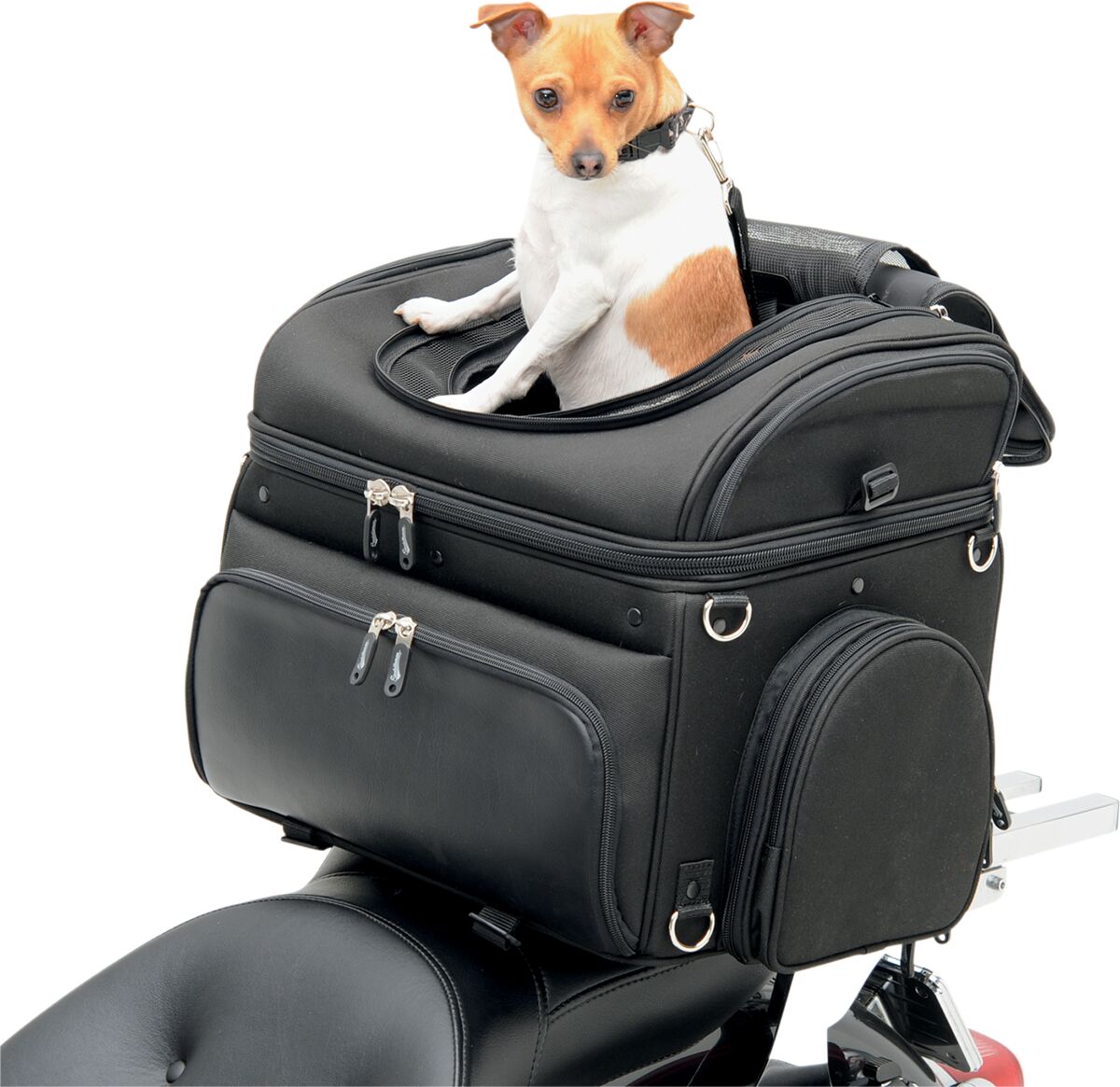 SADDLEMEN PET CARRIER SYNTHETIC LEATHER BLACK EX000627