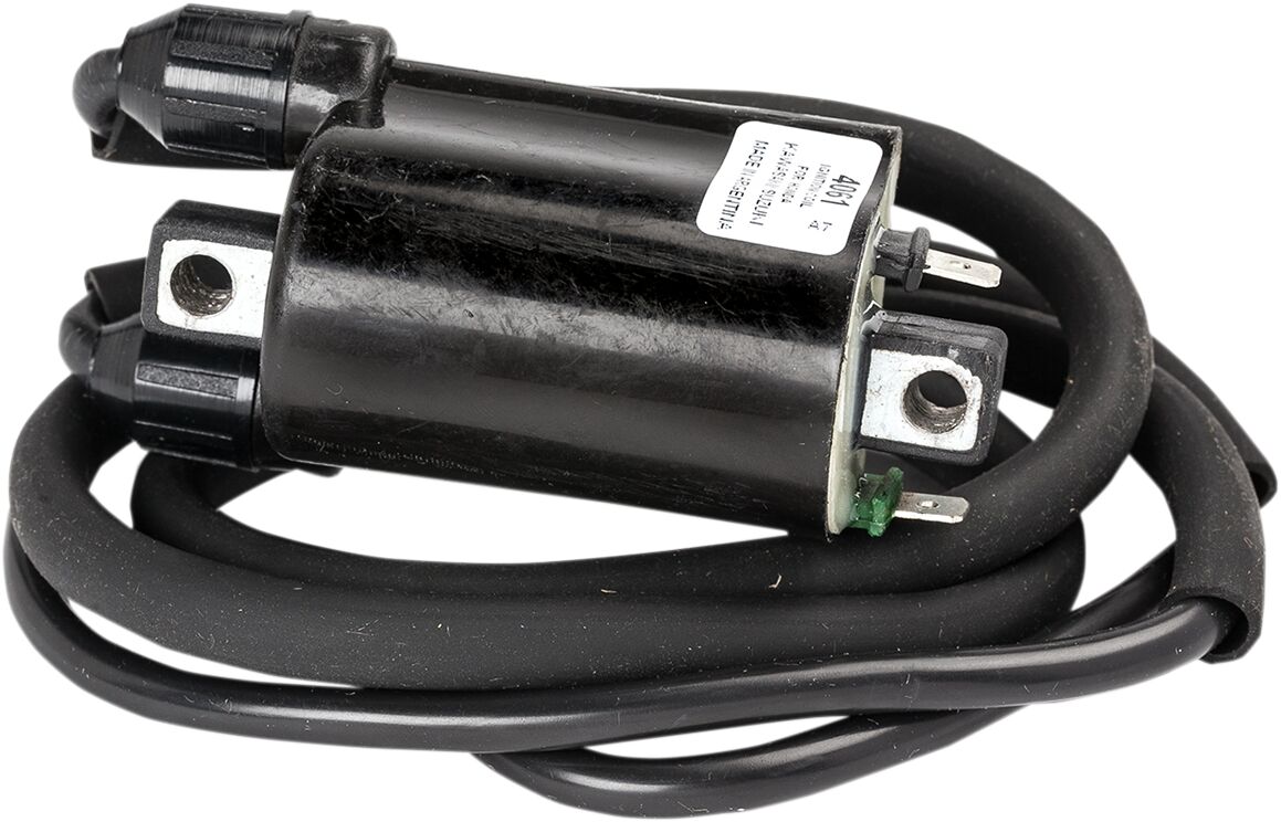 RICK'S MOTORSPORT ELECTRIC COIL IGNITION 23-105