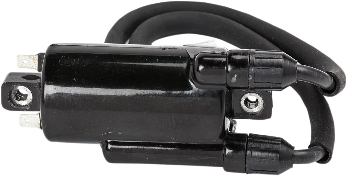 RICK'S MOTORSPORT ELECTRIC COIL IGNITION 23-108