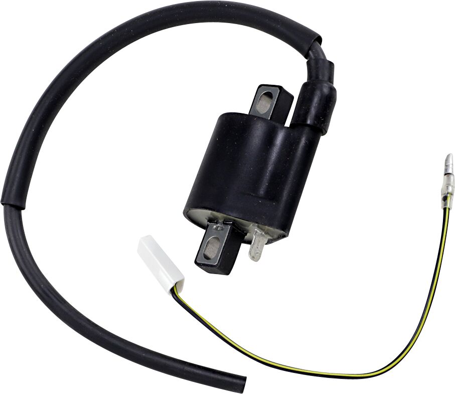 RICK'S MOTORSPORT ELECTRIC COIL YAMAHA 23-301 23-301