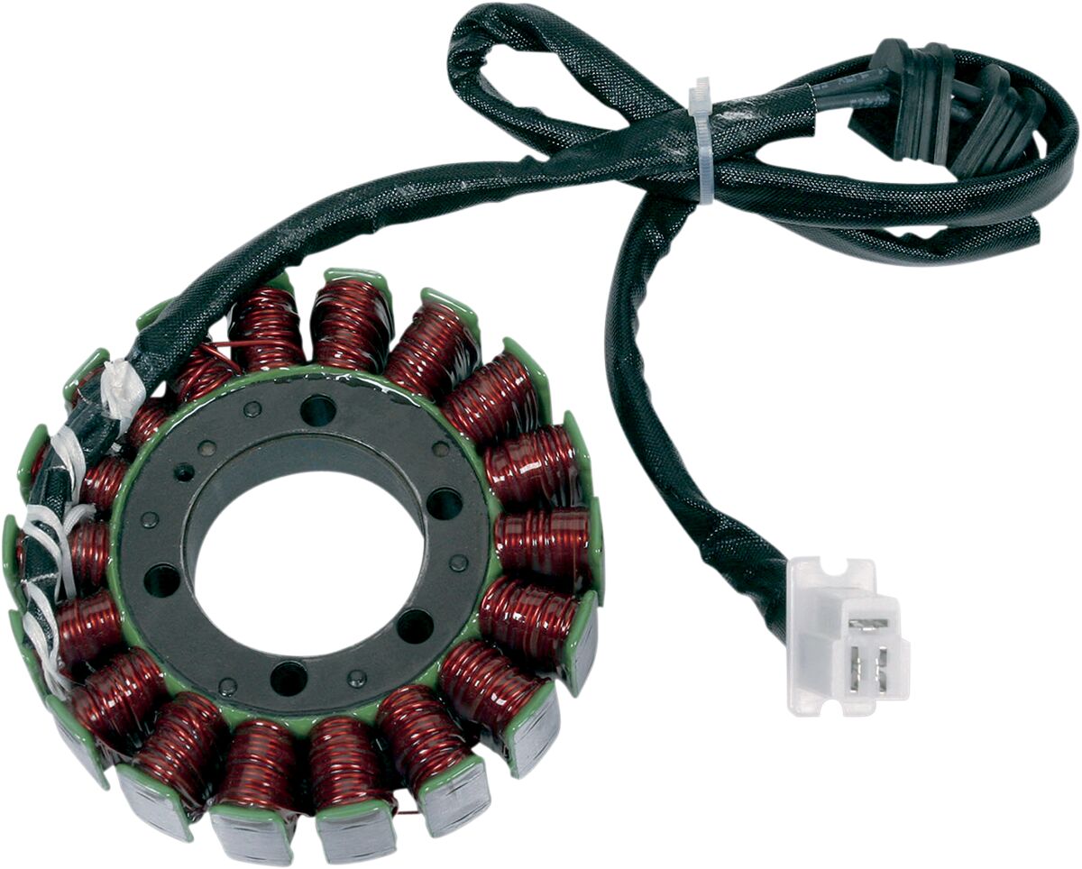 RICK'S MOTORSPORT ELECTRIC STATOR OEM STYLE 21-109