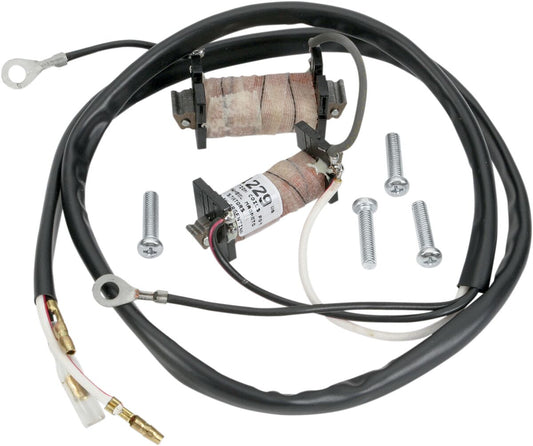 RICK'S MOTORSPORT ELECTRIC STATOR HONDA/KAW/SUZ 22-780