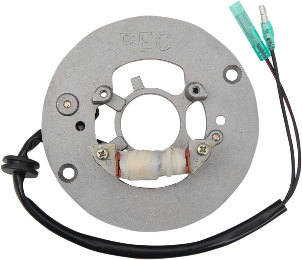 RICK'S MOTORSPORT ELECTRIC STATOR OEM STYLE 21-926