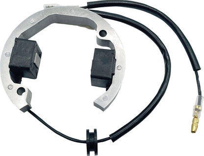 RICK'S MOTORSPORT ELECTRIC STATOR KTM HUS 50 21-0093