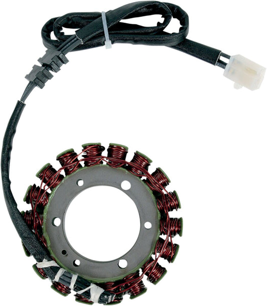RICK'S MOTORSPORT ELECTRIC STATOR OEM STYLE 21-402