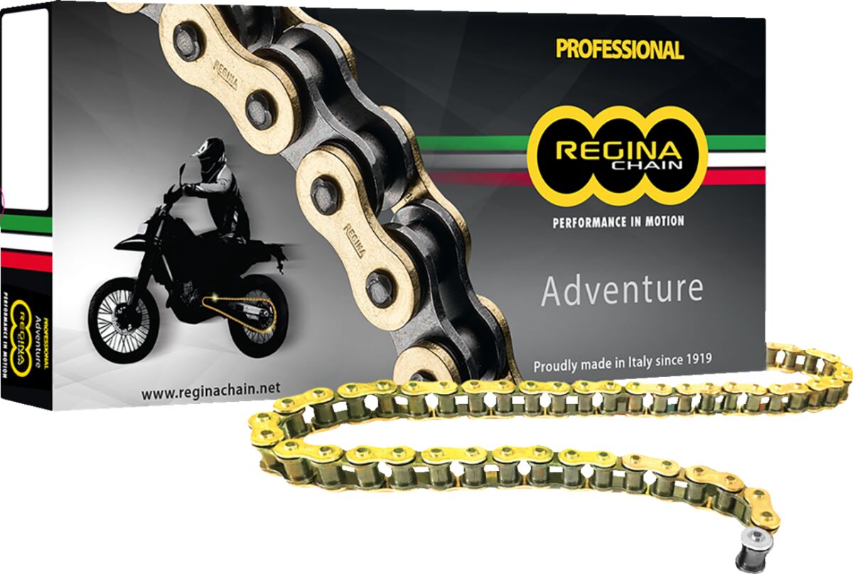 REGINA CHAIN 525ZRE GB 118RS+RH 137ZRE/015