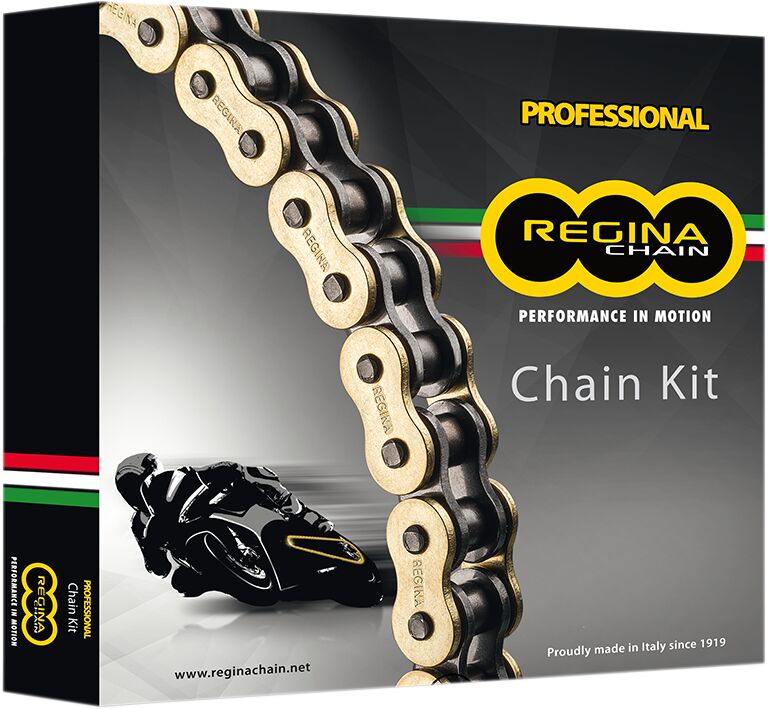 REGINA 137 ZRP 104 RIVET LINK 525 Z-RING / 15 TEETH FRONT / 42 TEETH REAR CUSTOM REPLACEMENT SPROCKET KIT / KD029