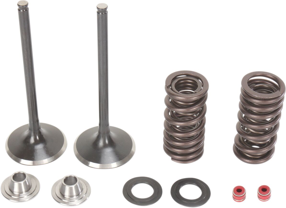 MOOSE INTAKE VALVE KIT STAINLESS STEEL M30-31200