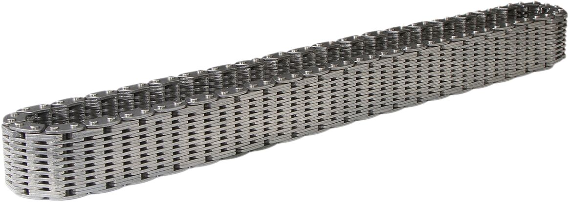 MOOSE TRANSAXLE REAR DRV CHAIN 25-8003