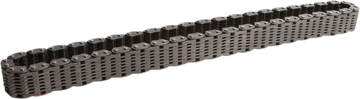 MOOSE TRANSAXLE REAR DRV CHAIN 25-8005