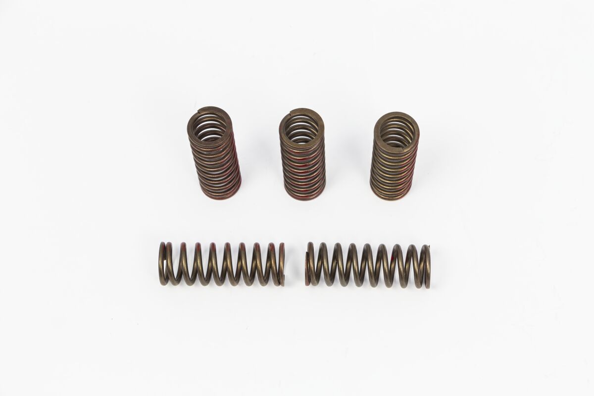 PRO CIRCUIT CLUTCH SPRING SET FOR HONDA CSH20250-CS